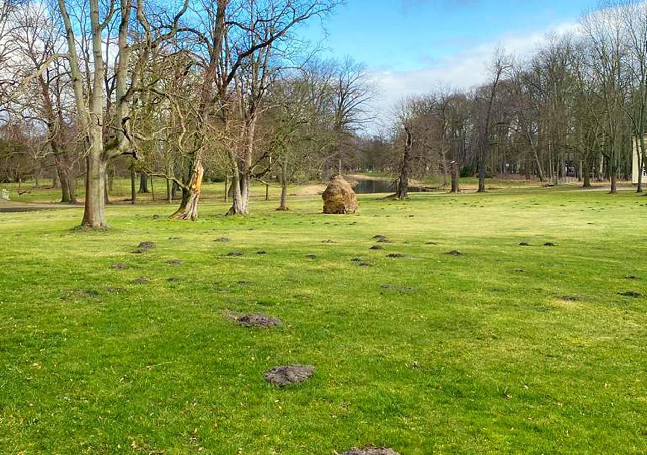 Spreewaldhof Hotel Vetschau Kültér fotó